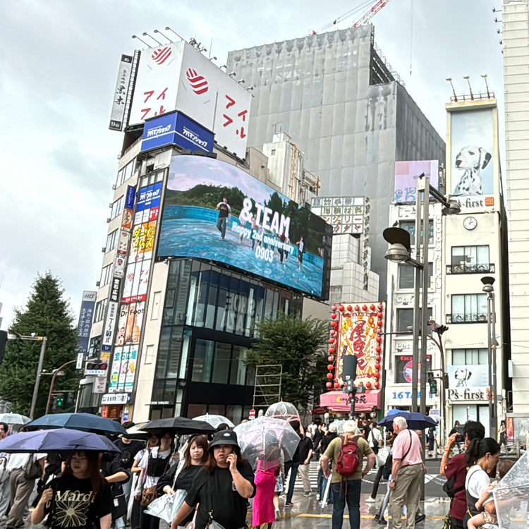 [＆Team] Cross shinjuku Vision 应援广告案例研究（2024/09）