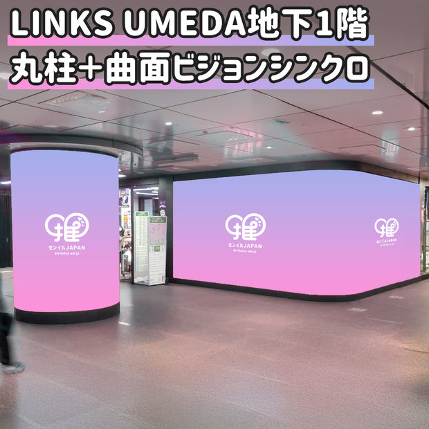 [大阪]链接UMeda Vision